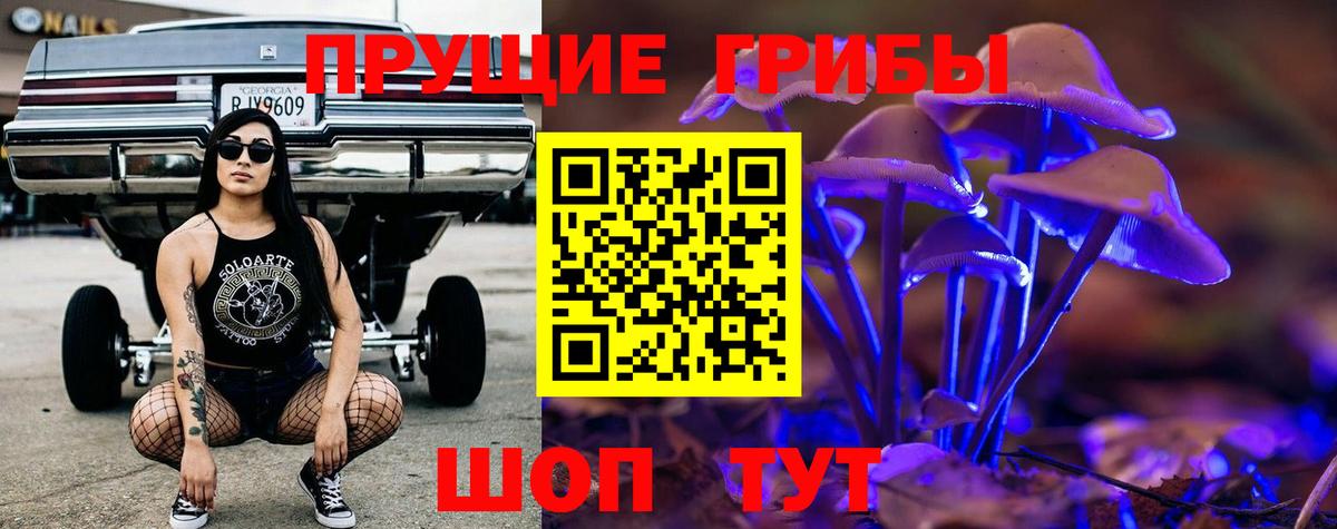 Псилоцибиновые грибы Psilocybe Отрадный